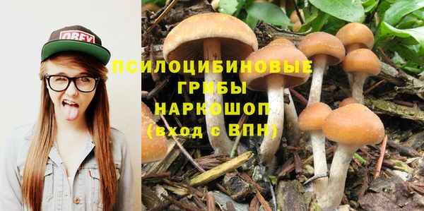 спиды Покровск